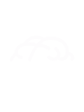 BrainCube | Your Technology Partner